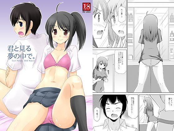 君と見る夢の中で。 (同人誌)