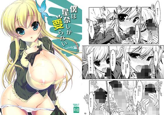 僕は星奈しか要らない (同人誌)