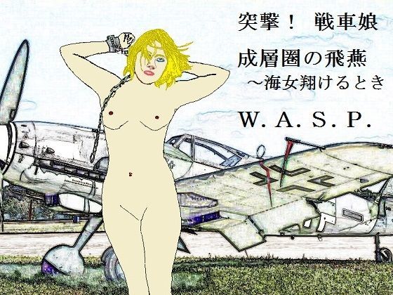 ヒロイン戦記短編集 (同人誌)