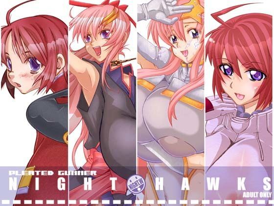 NIGHT HAWKS QUADRILOGY (同人誌)