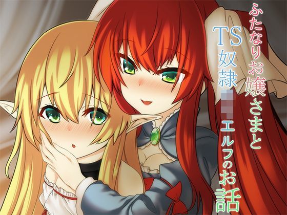 ふたなりお嬢さまとTS奴●ロリエルフのお話 (同人誌)