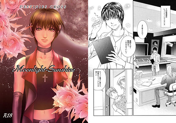 Moonlight-Sunshine (同人誌)