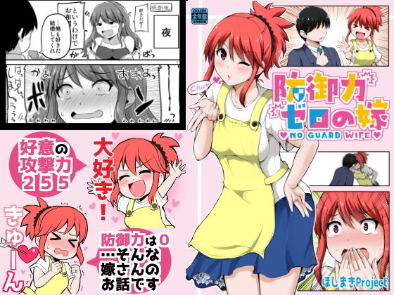 防御力ゼロの嫁 (同人誌)