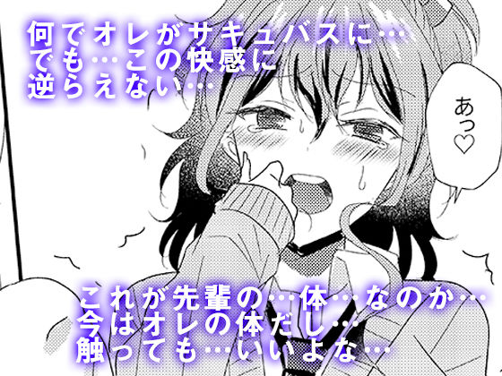 男嫌いのサキュバスさん (同人誌)