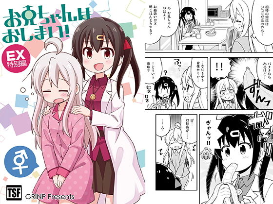 お兄ちゃんはおしまい！特別編 (同人誌)