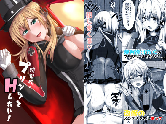 演習後のプリンツとHしたい！ (同人誌)