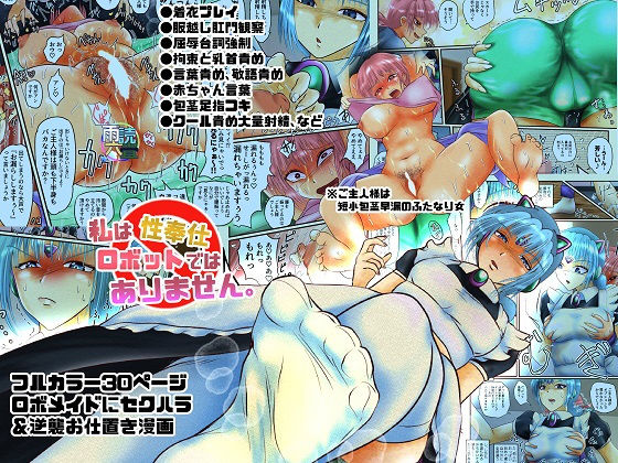 私は性奉仕ロボットではありません。 (同人誌)