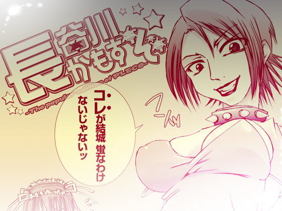 27_長谷川かもすぞ☆ 13.5 (同人誌)