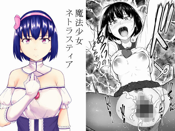 魔法少女ネトラスティア (同人誌)