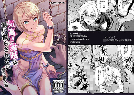 気高き義賊は飼い慣らされない 闇市潜入編 (同人誌)