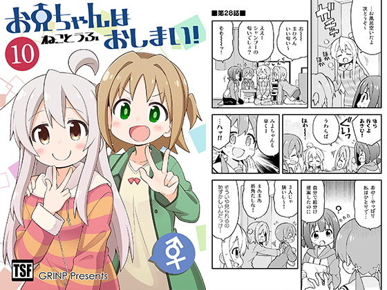 お兄ちゃんはおしまい！10 (同人誌)