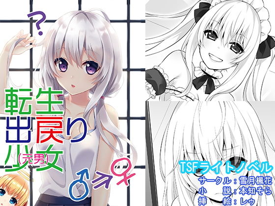 転生出戻り少女（元男） (同人誌)