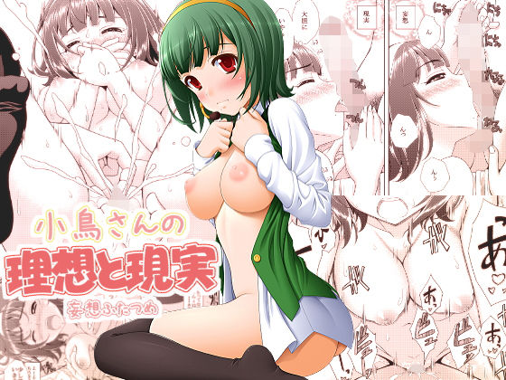 小鳥さんの理想と現実 もーそーふたつめ (同人誌)