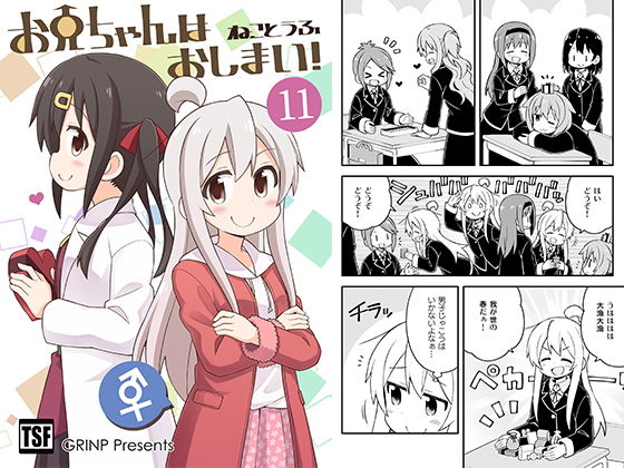 お兄ちゃんはおしまい！11 (同人誌)