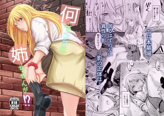 何でココに姉ちゃんが！？ (同人誌)