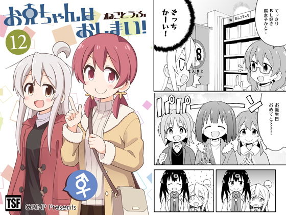 お兄ちゃんはおしまい！12 (同人誌)