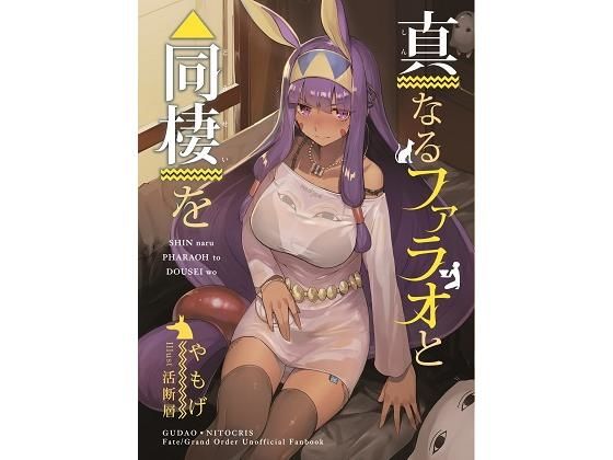 真なるファラオと同棲を (同人誌)