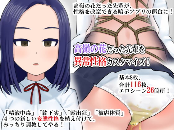 高嶺の花だった先輩を異常性格カスタマイズ (同人誌)