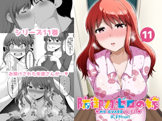 防御力ゼロの嫁11 (同人誌)