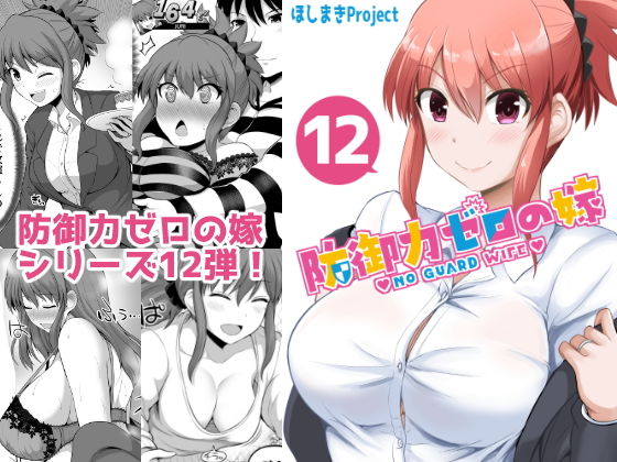 防御力ゼロの嫁12 (同人誌)