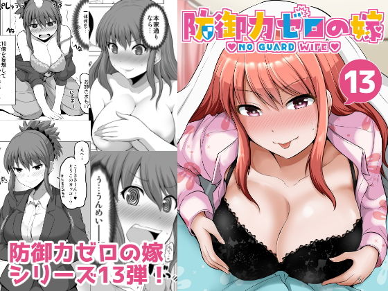 防御力ゼロの嫁13 (同人誌)