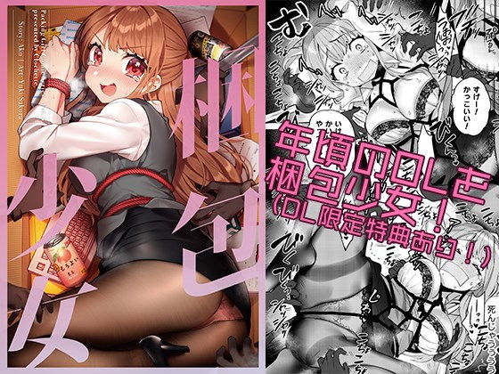 梱包少女6 (同人誌)