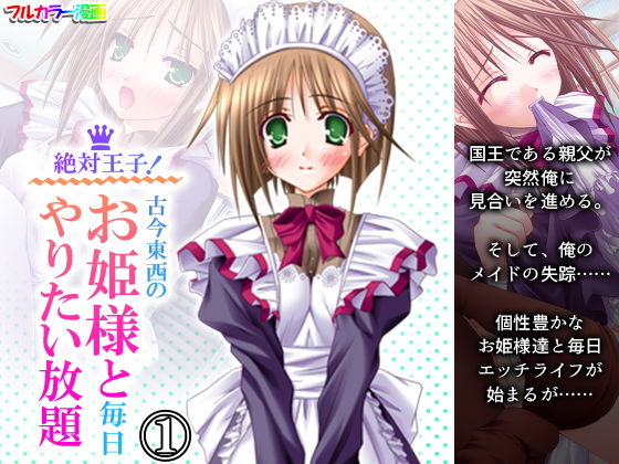 絶対王子！古今東西のお姫様と毎日やりたい放題 1巻 (同人誌)