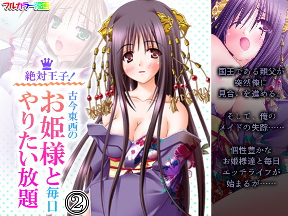 絶対王子！古今東西のお姫様と毎日やりたい放題 2巻 (同人誌)