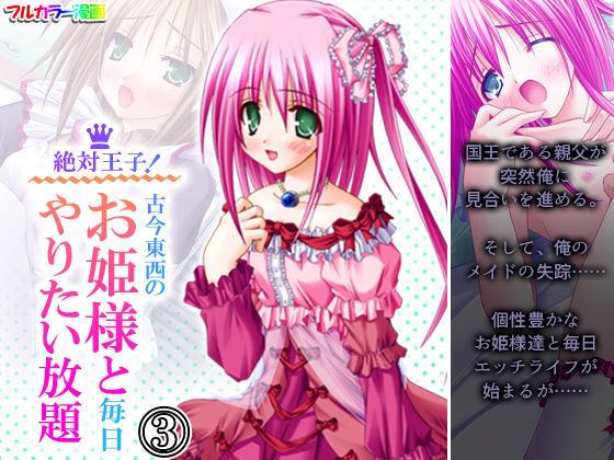絶対王子！古今東西のお姫様と毎日やりたい放題 3巻 (同人誌)