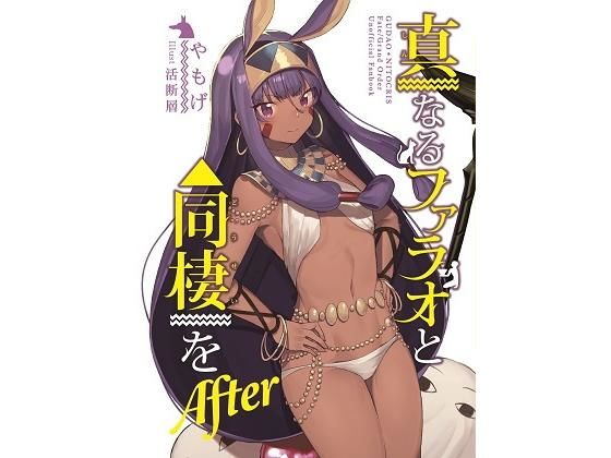 真なるファラオと同棲をAfter (同人誌)