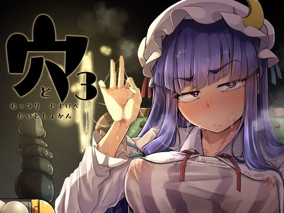 穴とむっつりどすけべだいとしょかん3 (同人誌)