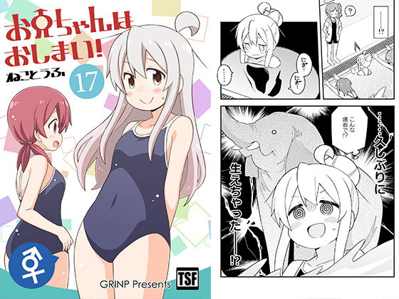 お兄ちゃんはおしまい！17 (同人誌)