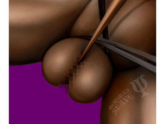 moriman slave vol，2 (同人誌)