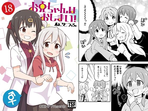 お兄ちゃんはおしまい！18 (同人誌)