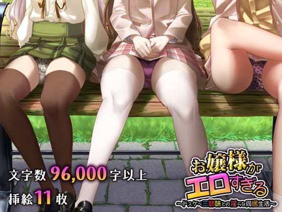 お嬢様がエロすぎる 〜ドスケベ三姉妹との淫らな同居生活〜 (同人誌)