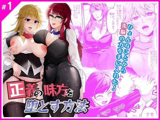 正義の味方を堕とす方法 (同人誌)