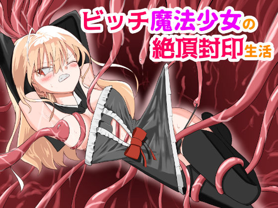 ビッチ魔法少女の絶頂封印生活 (同人誌)