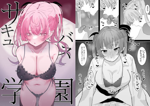 サキュバス学園 (同人誌)