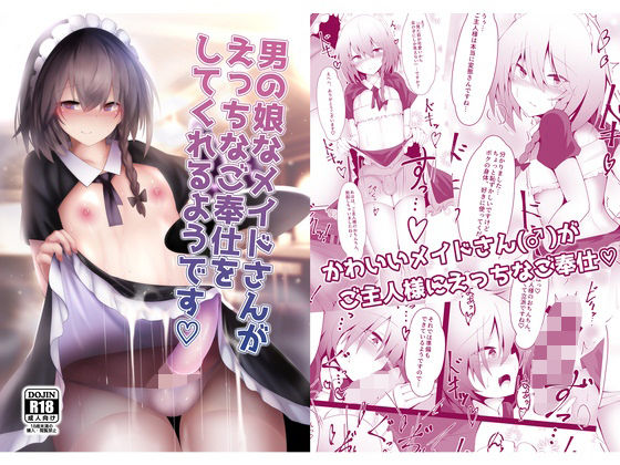 男の娘なメイドさんがえっちなご奉仕をしてくれるようです (同人誌)