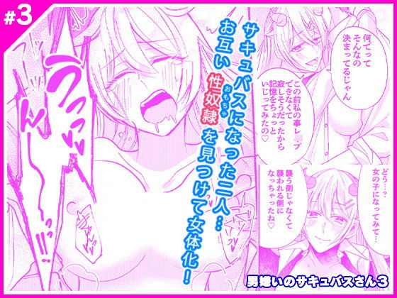 男嫌いのサキュバスさん 3 (同人誌)
