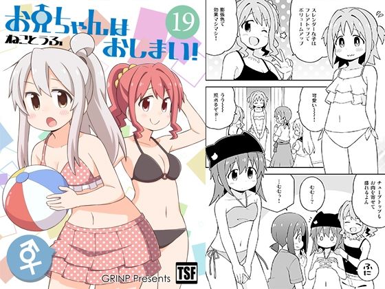 お兄ちゃんはおしまい！19 (同人誌)