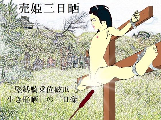 売姫三日晒し (同人誌)