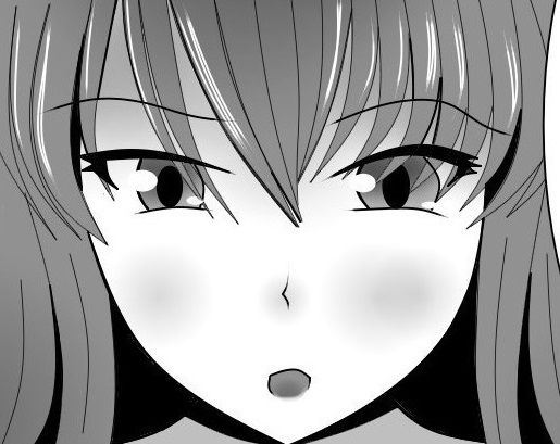 サキュバスのせんたく (同人誌)