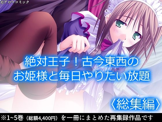 絶対王子！古今東西のお姫様と毎日やりたい放題 ＜総集編＞ (同人誌)