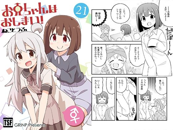 お兄ちゃんはおしまい！21 (同人誌)