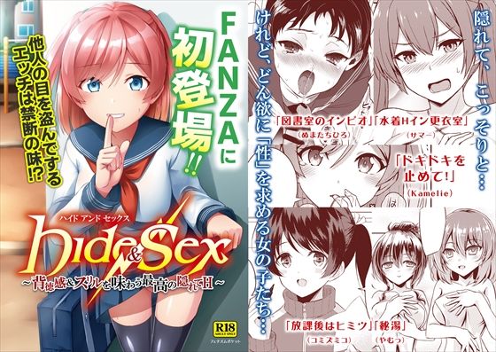 Hide ＆ Sex 〜背徳感＆スリルを味わう最高の隠れてH〜 (同人誌)