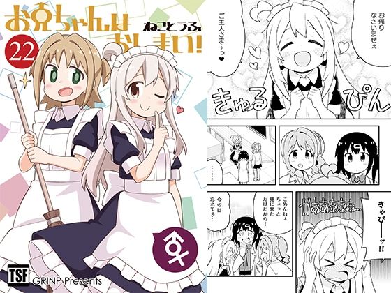 お兄ちゃんはおしまい！22 (同人誌)