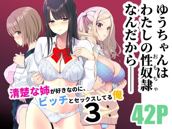 清楚な姉が好きなのに、ビッチとセックスしてる俺3 (同人誌)