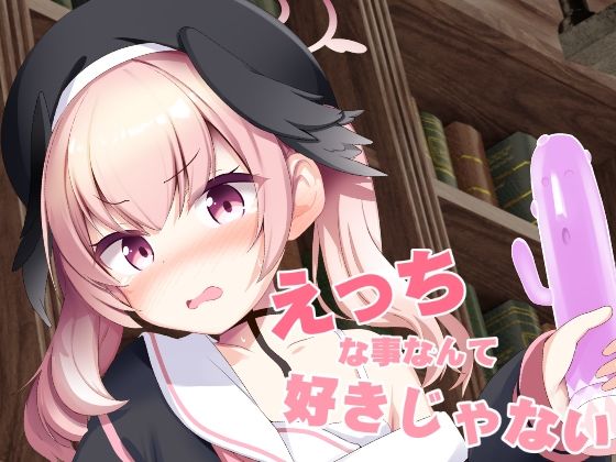 えっちな事なんて好きじゃない！ (同人誌)