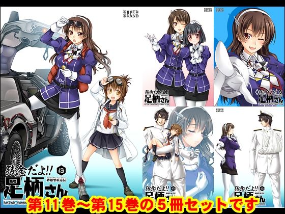 妙齢型重巡伝 残念だよ！！足柄さん（11）〜（15） (同人誌)